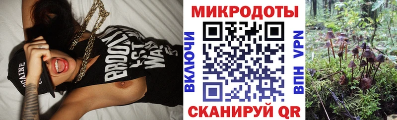 Псилоцибиновые грибы прущие грибы  Старая Купавна 